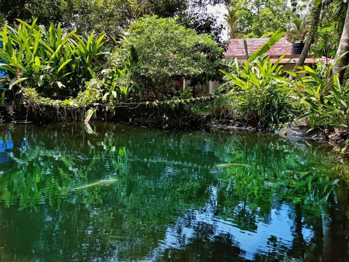 Marari Bethsaida Homestay Shertallai Εξωτερικό φωτογραφία