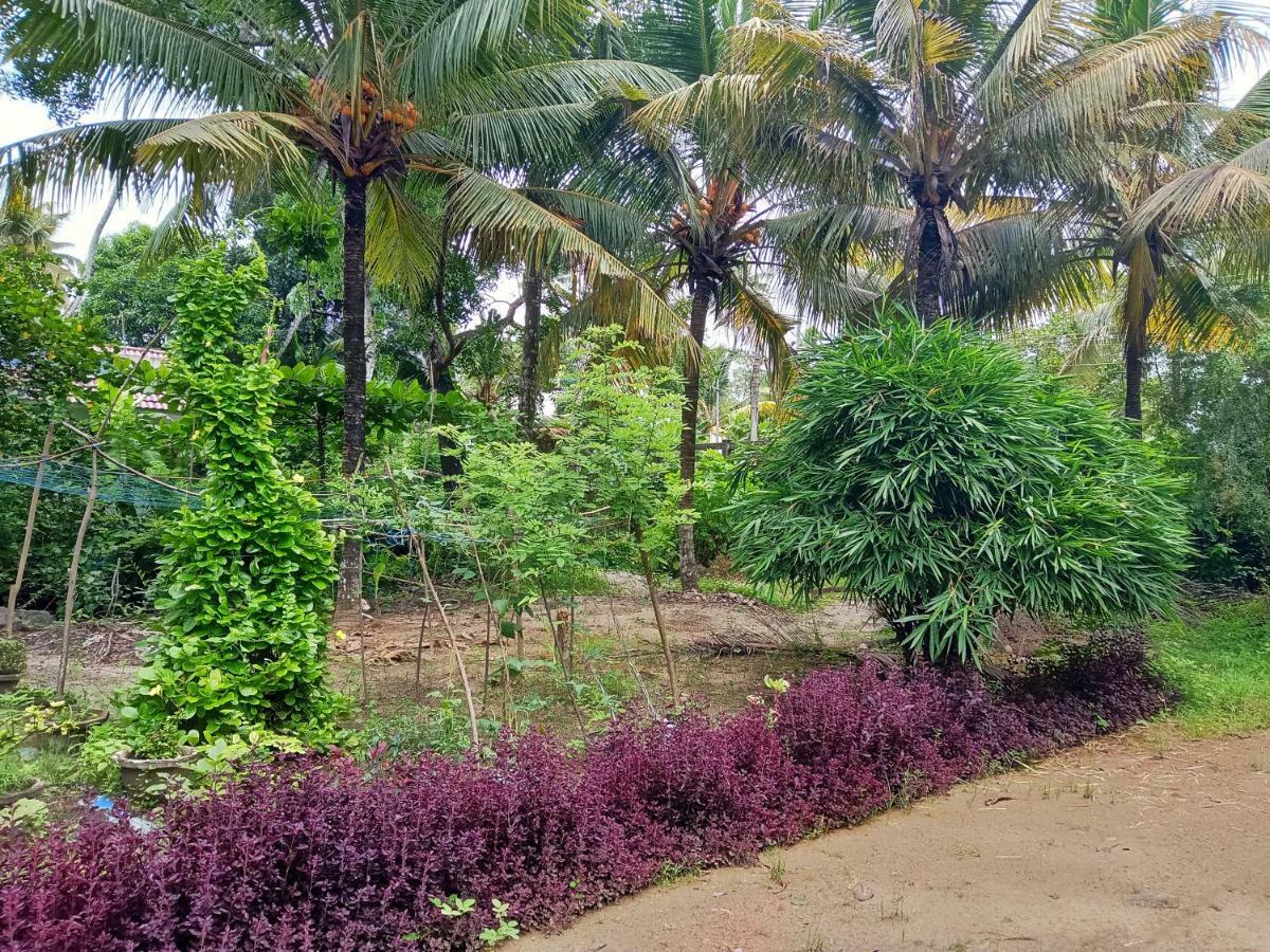 Marari Bethsaida Homestay Shertallai Εξωτερικό φωτογραφία